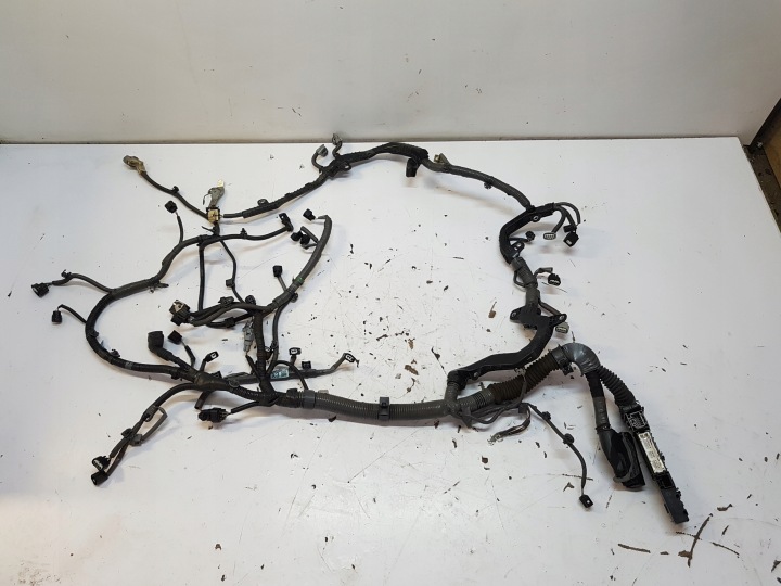 LEXUS IS300H IS III Faisceau câblage moteur 82126-30