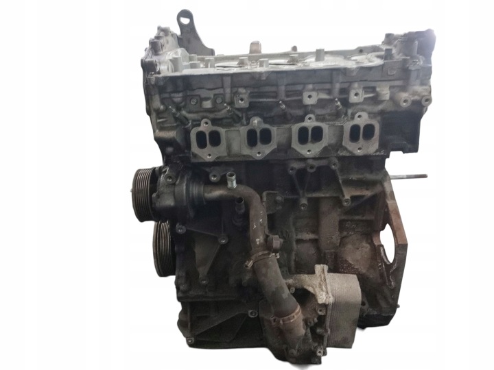 Motore RIVESTIMENTO MONTANTE RENAULT LAGUNA III 2.0 DCI 150KM 110kW M9RA802 228 TYS