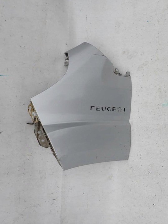 PEUGEOT BOXER FIAT DUCATO 06-14 Kotflügel vorne links