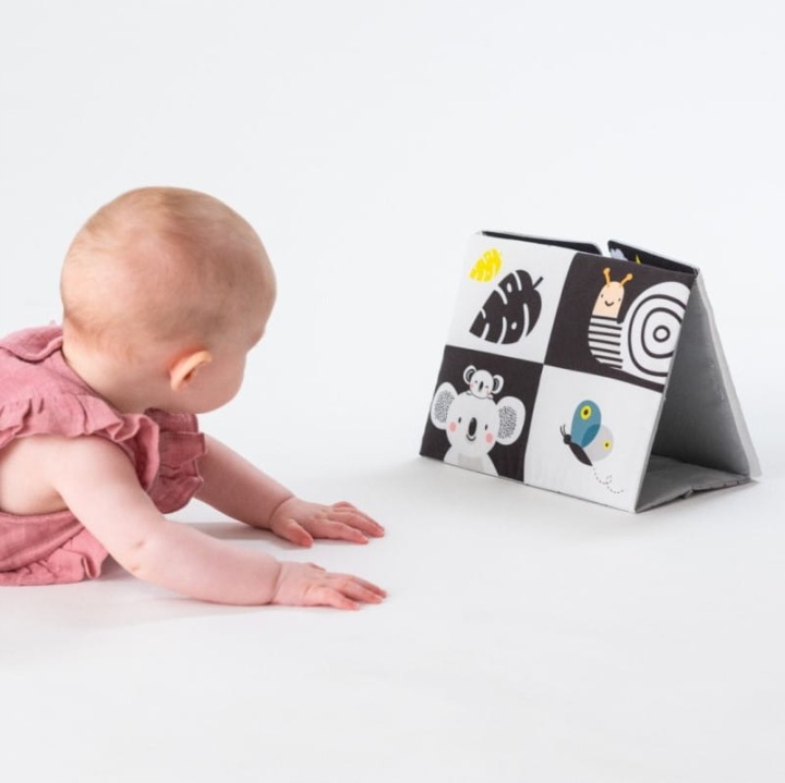 Книжечка Дзеркальце Tummy-Time Taf Toys Розвиток і Гра для Малюка! — фото 7