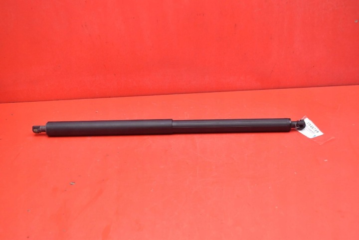 Vérins de coffre hayon HYDRAULICZNY du capot Porte coffre hayon 1500602-00-A TESLA MODEL Y 20