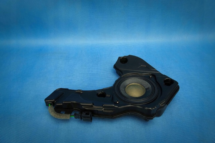 Altoparlante PORTA Portiera Anteriore Destra Audi A7 S7 RS7 4G8 4G8035304 bang Olufsen