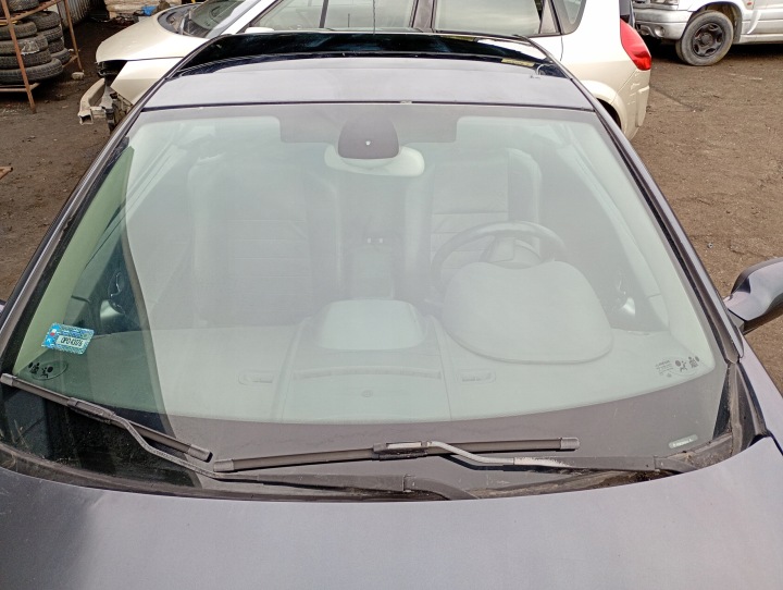 Renault Megane 2 II FL Cabrio 03-09 VETRO PARABREZZA Anteriore