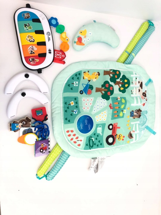 Килимок і лук для гри Baby Einstein Farm Explorers 4 в 1 Мова італійська (виставковий) — фото 4