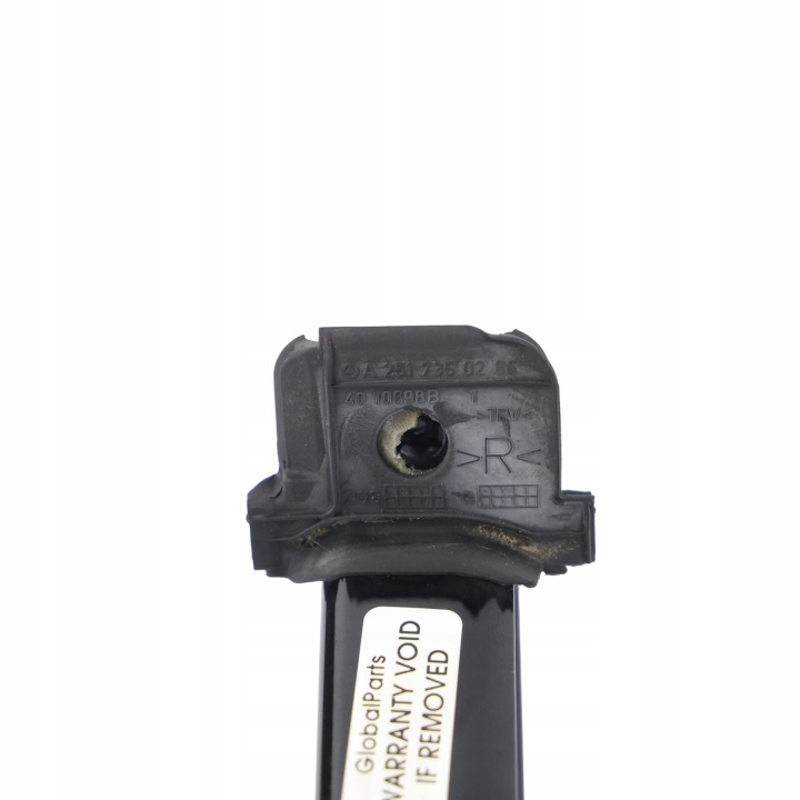 Mercedes W251 Обшивка на прозорец на задна врата дясна черна A2517300219 11