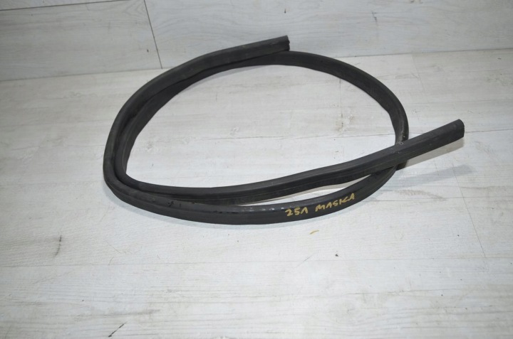 guarnizione del cofano Mercedes R-klasa W251