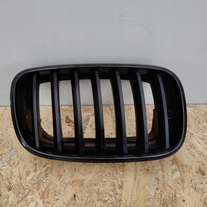 Grill salberk Nieren rechts BMW X5 E70 51137171396