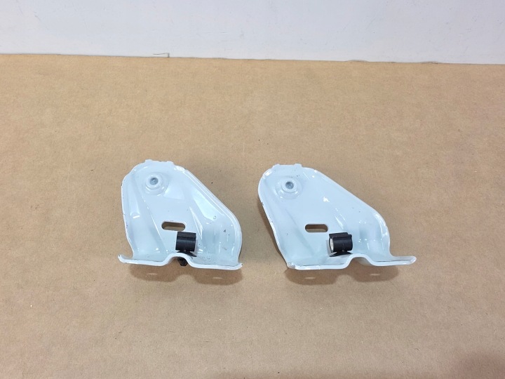 Poignée Support plaque SILOWNIKA du capot Gauche BMW X5 G05 X6 G06 X7 G07 LCI 7470793