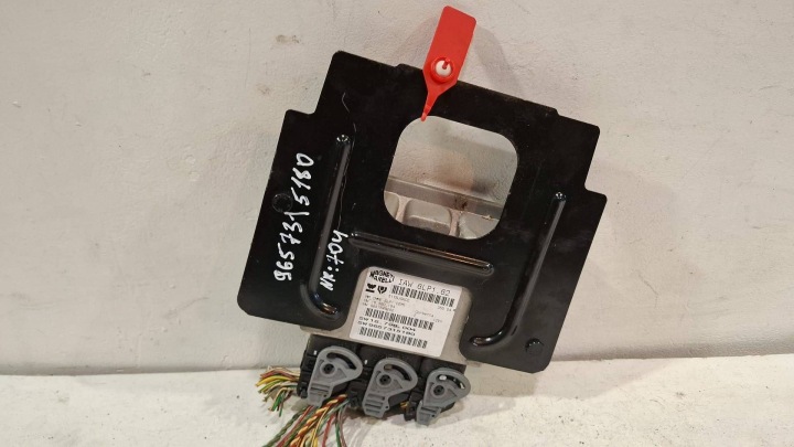 Bedienteil DES MOTORS Computer IAW6LP1.62 Citroen Peugeot 2.0 16V