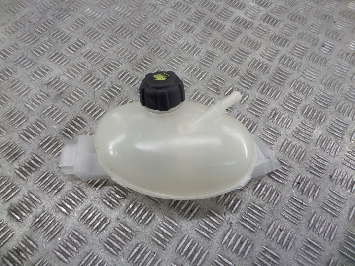 water tank RENAULT MASTER III 217100015R