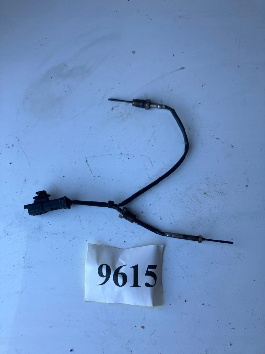 Sensor TEMPERATURY Gase 308 T9 1.6 BLUE HDI 9808312080