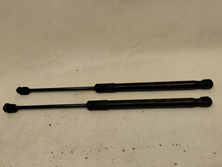 BMW X2 F39 LIFT PISTONI PORTELLONE del cofano