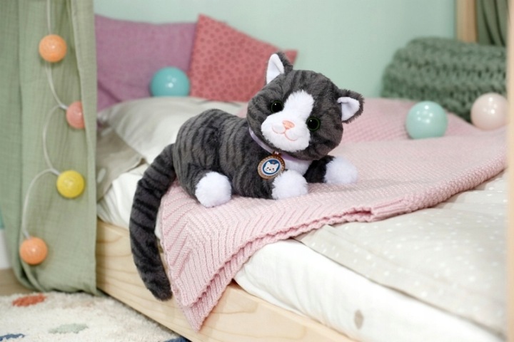 BABY born Кіт Печиво з транспортером — фото 4