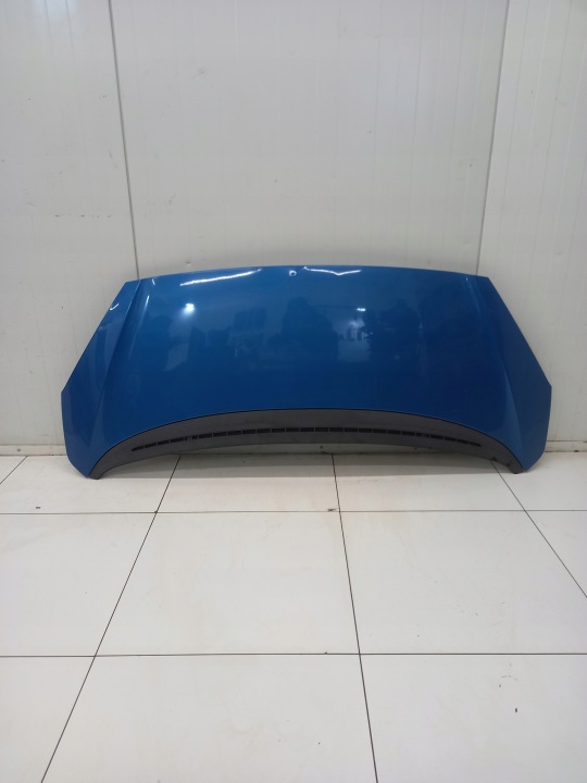 motorhaube PEUGEOT 1007 2005