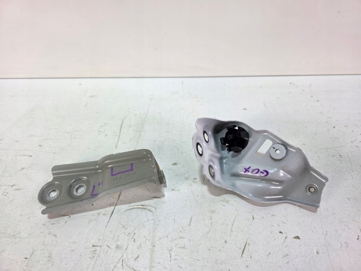 Halter des Kotflügels links vorne BMW X7 G07 LCI 7451725 7418217 A96