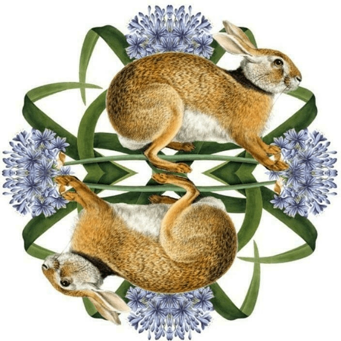 Museums Galleries Листівка квадрат з конвертом Європейський Коричневий Hare