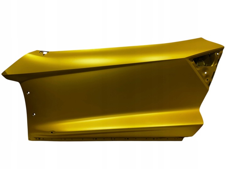LAMBORGHINI REVUELTO sinistro PORTA Portiera LH 47B831051 47B831311 47B831507 47B831041