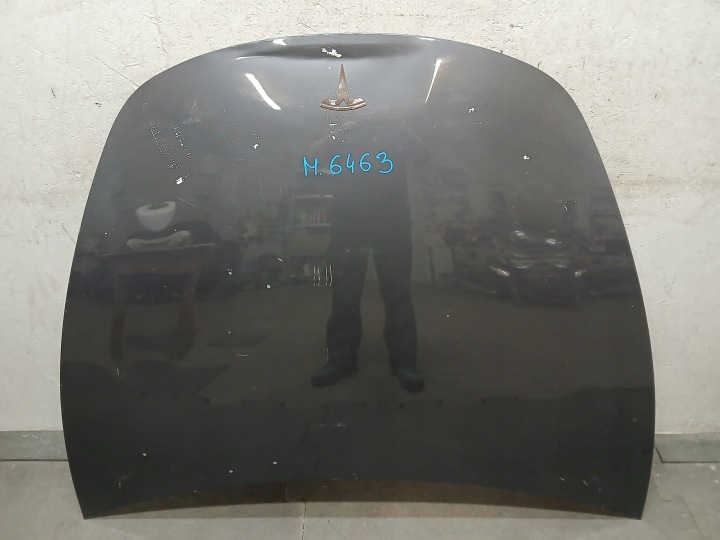 capot TESLA III 3
