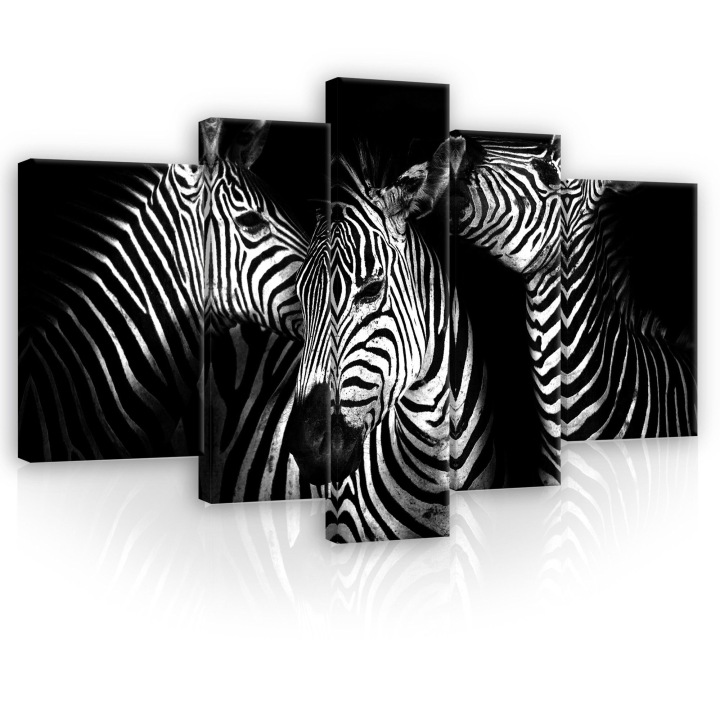 Obraz 170x100 Zebra pruhy černobílé zvířata safari minimalismus grafika