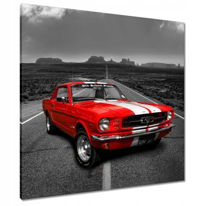 Obrazy 70x70 Červený Ford Mustang Usa