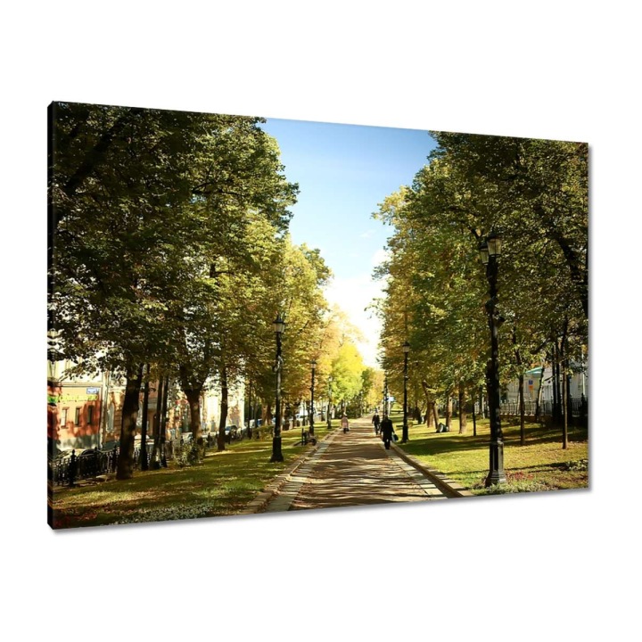 Obrazy 100x70 Park v letním období