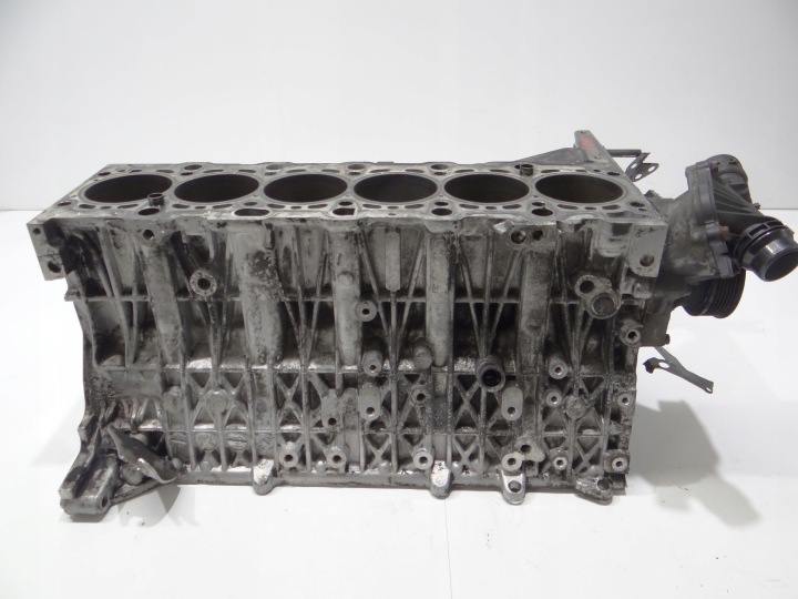 BLOK Motore BMW E60 306D3 7792822