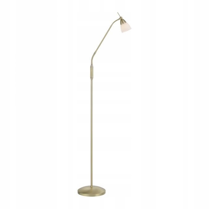 Podlahová lampa Pino 400-60 Paul Neuhaus