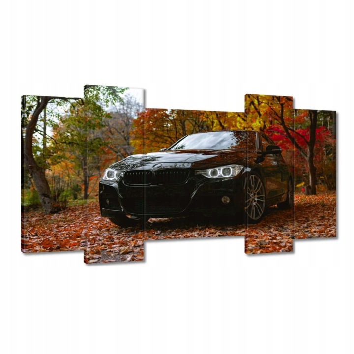 Obrazy 120x65 Černé Bmw Podzim