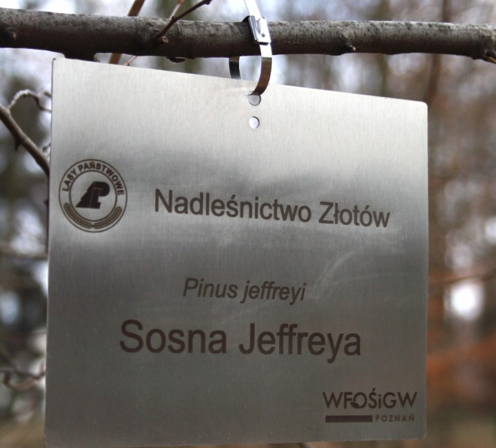 Zahradní tabulka závěs/značkovač, nerezová, laserové gravírování (125x85