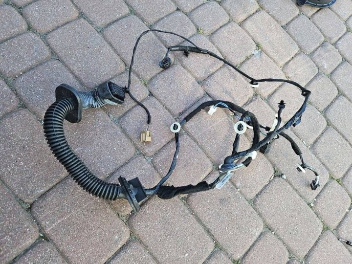 Kabelbaum kabelbaum kabelsatz Tür vorne przednich prawych z as Renault Zoe 241257938R