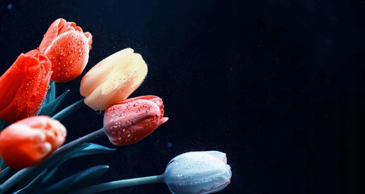 Kryt na radiátor pro radiátor Dekorace do pokoje Tulipány Maskovačka 60x100