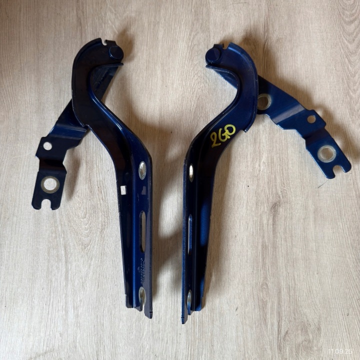 Scharnier Scharniere der Motorhaube links rechts KOMPLET VW VOLKSWAGEN POLO VI LIFT