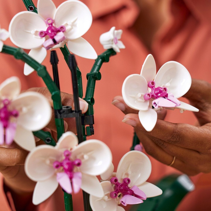 LEGO Botanicals Creator Expert 10311 Орхідея (вживаний) — фото 10