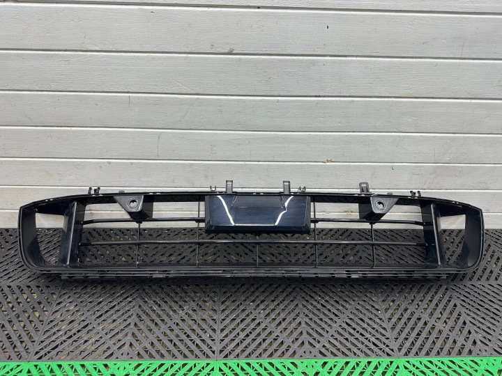 untere lüftungsgitter der stoßstange vorne vorne BMW 1 F70 5A64E34