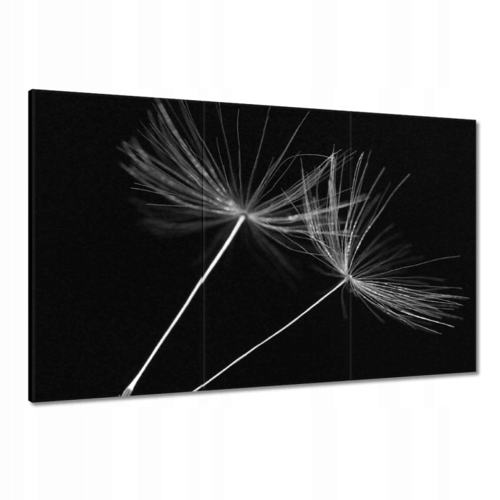 Obrazy 120x80 Pampeliška Květ Květiny