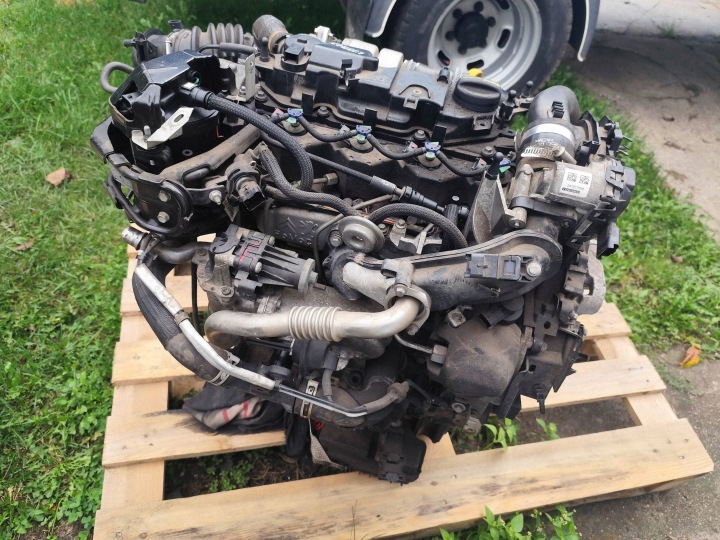 Swap Motore Ford Transit - Tourneo Connect XWGA