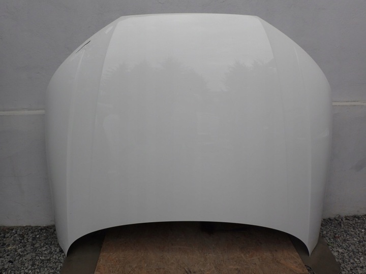 CAPOT AUDI A4 B9 8W 2015