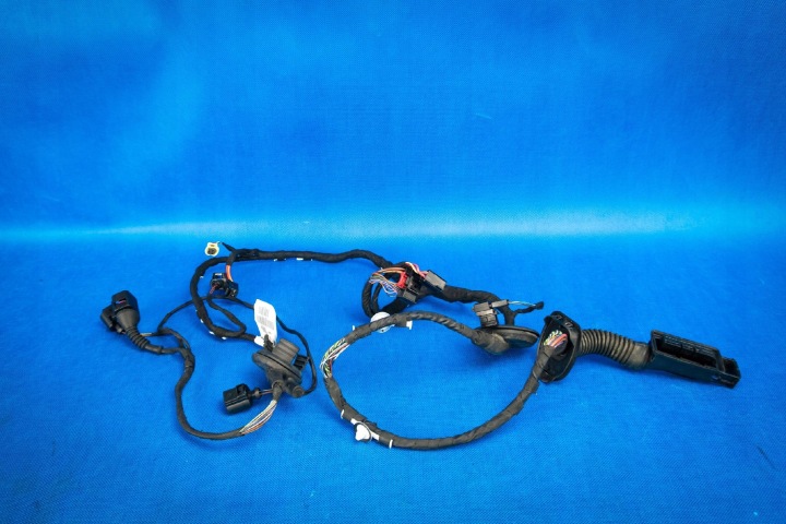 kabelbaum kabelsatz elektrisch Tür Audi A7 RS7 4G8971030CD