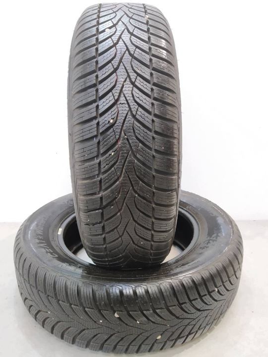 2x guma zimska CEAT WINTERDRIVE 195/65R15 (2925) 8.95 9.32