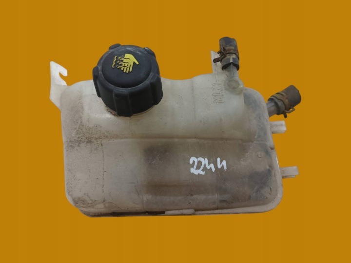 Ausdehnungsbehälter des Gasses CHLODNICZEGO 217100005R Renault Megane III
