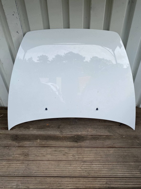 VOLVO C30 LIFT Cofano Anteriore BIALY 31301034