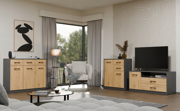 Комод SIMPLO 2D2S Шафка 2 Шухляди 2 Двері Для Вітальні Антрацит Дуб Артизан — фото 2