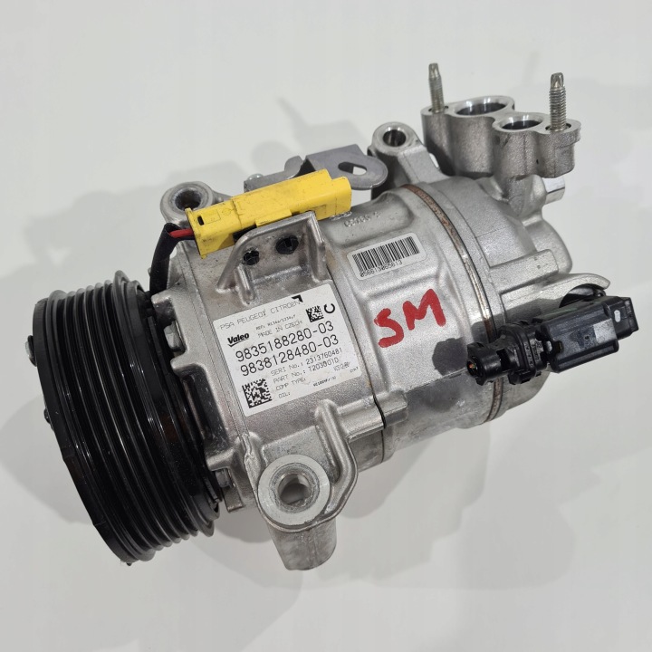 Compresseur Climatisateur air conditionné Peugeot Citroen Opel 1.2 THP 9835188280 9838128480