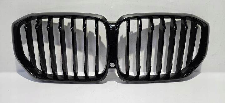 Grill Kühlergrill der Stoßstange BMW X5 G05 X6 G06 18- unter KAMERE Original 164445-10