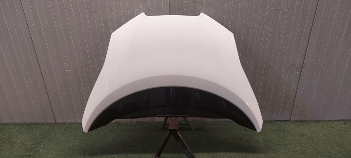 cofano NISSAN LEAF 10-17 LAK: 326G