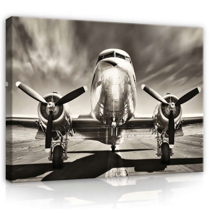 Obraz 100x80 Letadlo Vintage retro letectví černobílý aerodrom historie