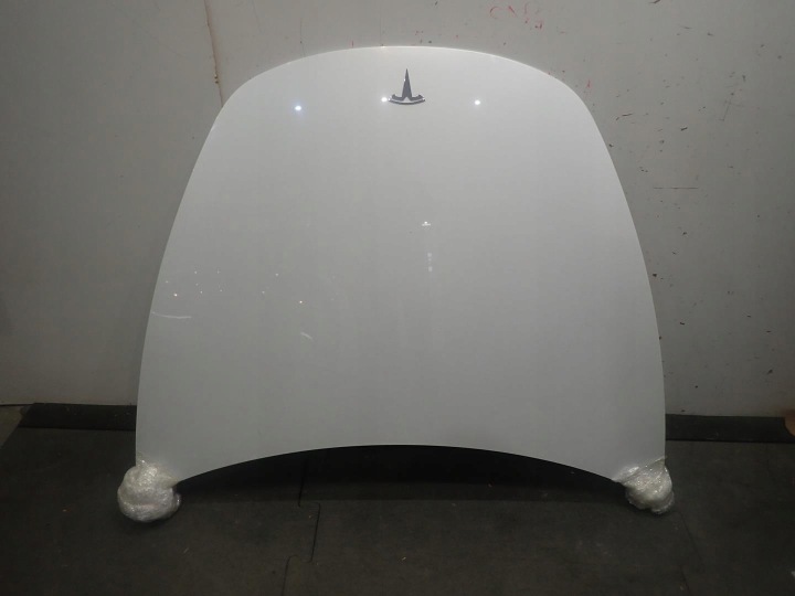 MOTORHAUBE TESLA 3 2017