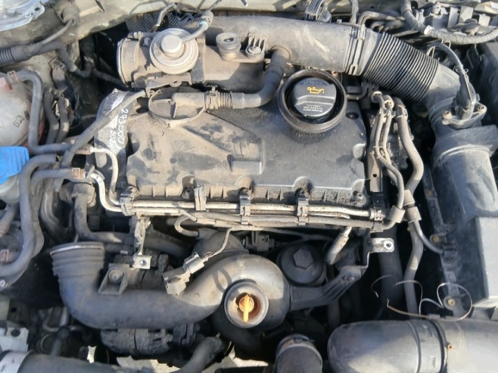 engine SKODA OCTAVIA 2 1.9TDI BXE