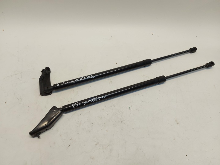Nissan X-TRAIL T33 IV 2023 Vérins de coffre hayon du capot Porte coffre hayon Arrière Gauche Droite komplet
