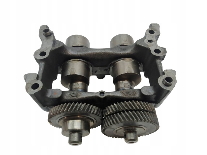 cam of the gear BALANSOWE WYROWNOWAZAJACE 2.0 DCI Renault Koleos and (2007- )